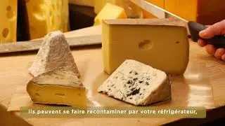 Quels fromages pour une femme enceinte ? | Etoiles d'Alsace