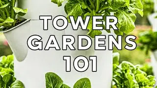 Hydroponic Tower Gardens 101 | Why do Tower Gardens Grow So well?