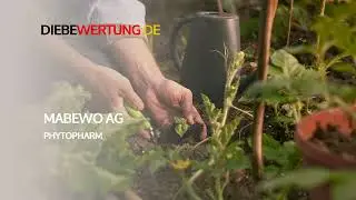 Interview zwischen diebewertung.de und Dr. Stefan Gall, CEO der MABEWO PHYTOPHARM AG