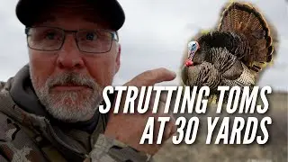 Strutting Tom Takedown: Hunting Success in the Prairie Lands