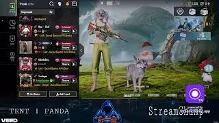 try to five chicken dinner# TRNT PANDA is live