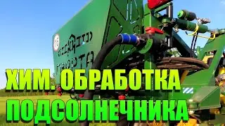Chemical treatment of sunflower 2021