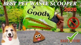 Best Pet Waste scooper 2020