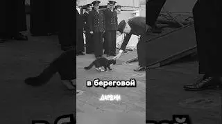Какую профессию выбрали бы пацаны, если бы не общество: