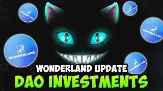 TIME WONDERLAND UPDATE - NEW DAO INVESTMENTS ($TIME $WMEMO)