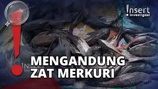 Berburu Ikan Sapu-sapu di Kali Ciliwung yang Dianggap Hama Sungai