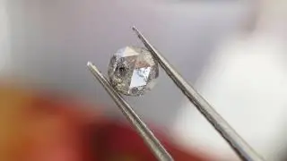 0.75ct Salt and Pepper Round Rosecut SP1168