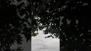 My dayout || chetpet eco Park