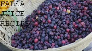 FALSA JUICE RECIPE (PAKISTANI KITCHEN) HOW TO MAKE GREWIA JUICE