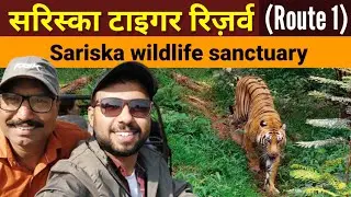 Sariska Tiger reserve | Jungle Safari | Sariska Wildlife sanctuary | Ticket Price, Safari time