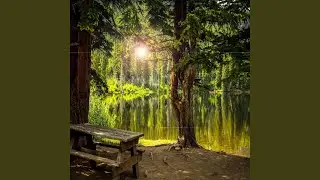 Brain Healing Meditation Music (Eeg Stabilization Brain Healing)