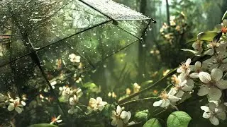 Rain Whispering on an Umbrella in a Quiet Green Forest | Nature Ambience ASMR | Sleep, Study, Relax