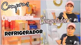 TIPS PARA ORGANIZAR UN REFRIGERADOR PEQUEÑO Y CONGELADOR COMPRAS 2021