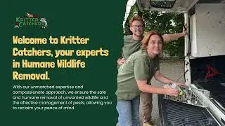 Kritter Catchers | Expert In Humane Wildlife Removal