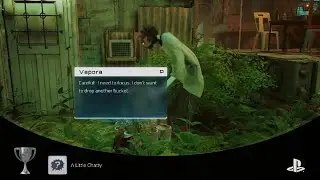 Stray A Little Chatty Trophy
