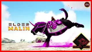 Taming Elder Malin The New Knockout Master | ARK PRIMAL FEAR