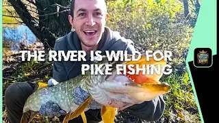 THE RIVER IS WILD FOR PIKE FISHING || MONK LAKES, KENT