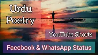 Urdu Poetry | YouTube Shorts | Facebook & WhatsApp Status | Insight Pk