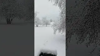 winter ❄🌨 in the #missouri #ozarks  roads clear south , school cancelled north #besafe still falling