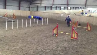 DGI - SydFalster Agilityklub - Agility Cup