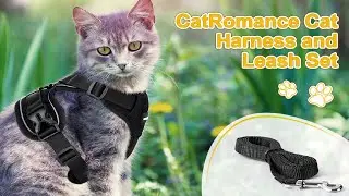 CatRomance Harness and Leash Set | Review