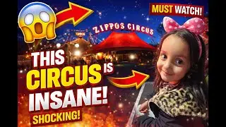 Zippos Circus Live : Amazing Stunts! - You'll Never Believe!