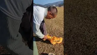 Puma fast r3  testing