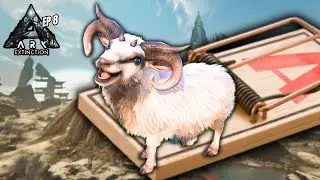 Trapping a Wasteland Argy with Ease | Ark: Extinction Ep 8