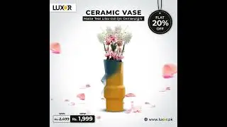 Buy Best Home Decor Ceramic Vases, New Collection