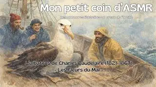 ASMR-FR Chuchotement du poème L'albatros de Charles Baudelaire