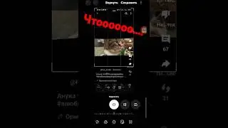 #поставьлайкпж #ялюблюануку #remix #вреки #анукадавайка #music #cat #artist #cute #dance
