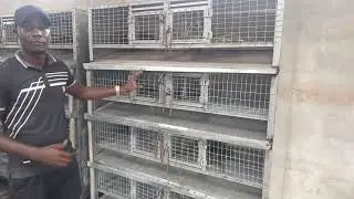 Grass-Cutter Production in Nigeria