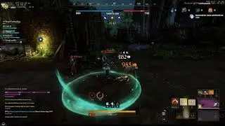 New World   Spear 1v3 lightstaff griefer