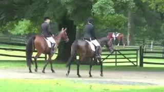Groton House Farm Novice Course