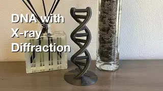 DNA with X-ray Diffraction (3D Printed)