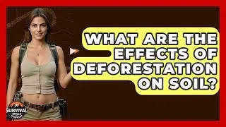 What Are The Effects Of Deforestation On Soil? - Survival Skills for Everyone