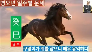 병오년운세ㅣ계사일주, 구렁이가 쥐를 잡고 밤하늘에 별이 빛나니 매우 유익하고 부귀해지는 해다
