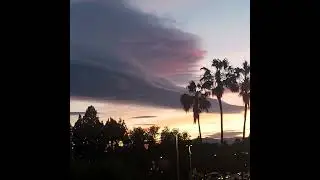 Golden sunset pop #youtubeshorts #shorts