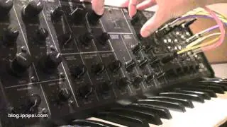 Korg MS-20 distortion beat #korgms20