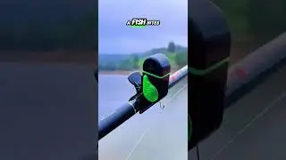 Этот крошечный сигнализатор ловит рыбу раньше вас #гаджеты #рыбалка #ялюблюгаджеты #рыболовныехит...