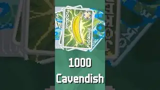 1000 Cavendish (again)  #balatro