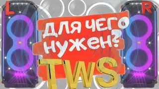 Что такое функция TWS в портативных колонках?Как подключить функцию TWS на колонках?Зачем она нужна?