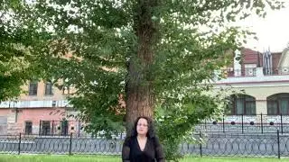 8 июля 2020 г.