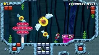 Rouge Cavern by WigglerRie 🍄Super Mario Maker 2 Switch No Commentary #drr