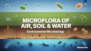 Microflora of Air, Soil & Water | Environmental Microbiology Explained | Mootechie
