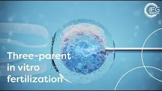What is Three-Parent IVF? | International Fertility Group