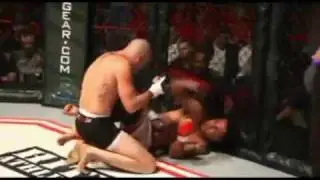 World Bantamweight MMA Title Fight