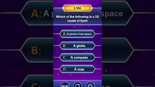 Which of the following is a 3D model of Earth 🌍 ?