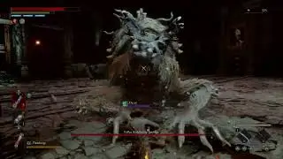 Fallen Archbishop Andreus is a NASTY FROG!