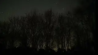 Kelling Heath Spring Star party Stars setting behind Hedge 2025